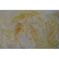 ***pióra w pudełku kolor kremowy