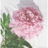 ***serwetka 33x33 K17 piwonia