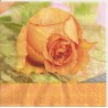 ***serwetka 33x33 K38