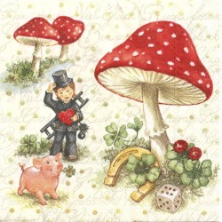 ***serwetka 33x33 I54