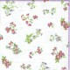 ***serwetka 25x25 K62