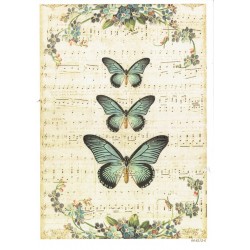 ***papier cienki A-5 4212-6 muzyczne motyle