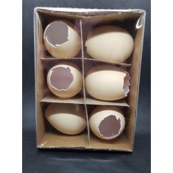 ***jajka plas.skorupka kurza 6cm/op 6szt