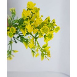 ***kwiatki mini żółte -gałązka