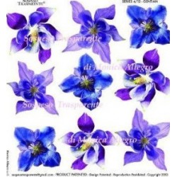 ***folia sospeso 4/12 gentian