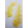 pióra 10-12 cm/50 szt