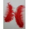 pióra 10-12 cm/50 szt